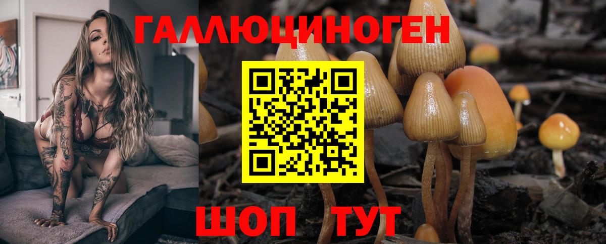 Галлюциногенные грибы мицелий Полевской